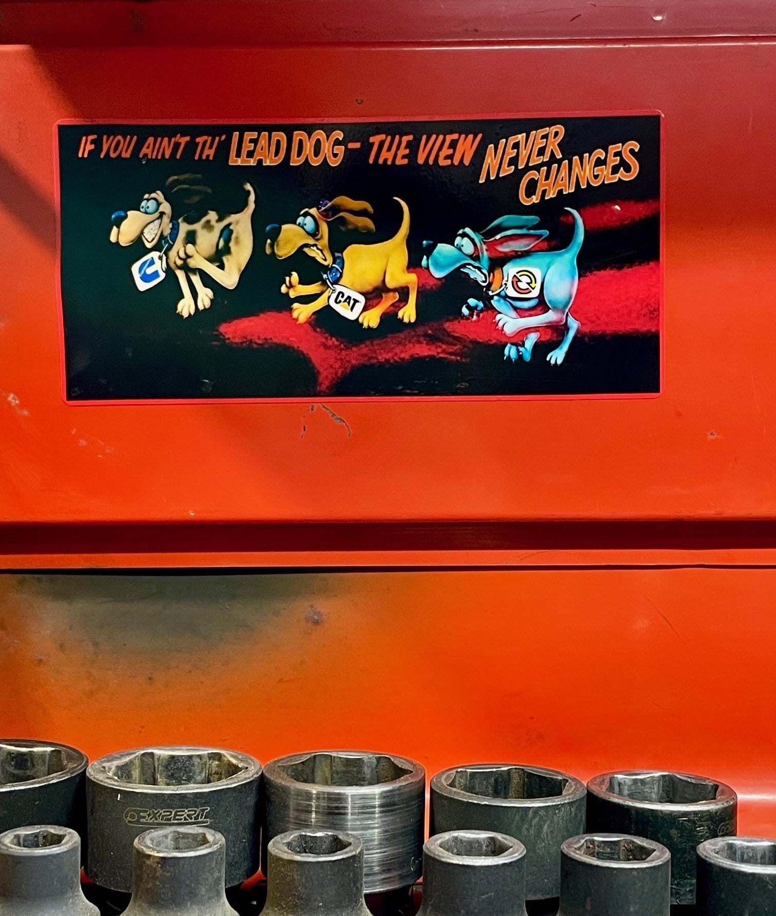 The "Lead Dog" decal
